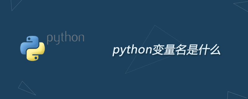 Python 基础入门 Day01